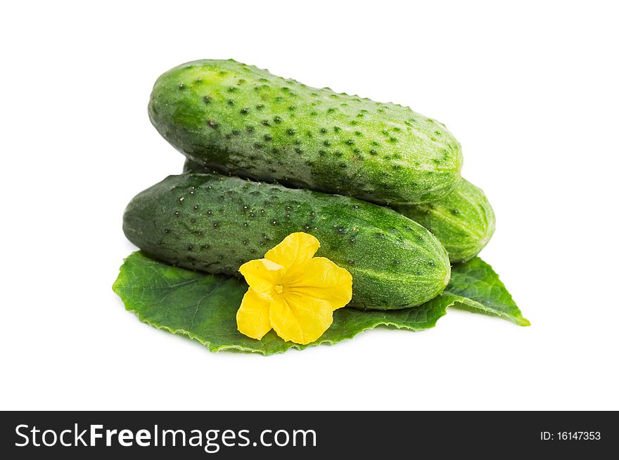 Green cucumber vegetable with leafs and flowers isolated