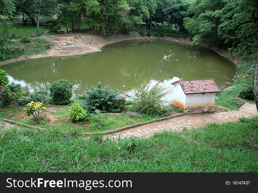 Pond in the middle of green setting in Lalbagh Botanical Garden, Bangalore, India, Asia. Pond in the middle of green setting in Lalbagh Botanical Garden, Bangalore, India, Asia