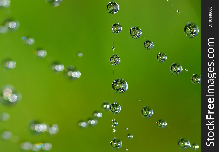 Water drops on cobweb on green background. Water drops on cobweb on green background