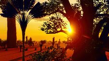 Awesome Baobabs In African Savannah 3d Rendering Stock Photo Awesome Baobabs In African Savannah 3d Rendering Stock Photo