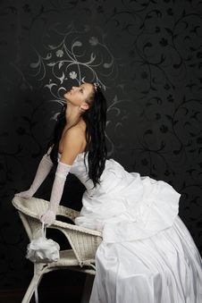 Beautiful Bride Stock Images