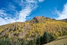 The Peak And Forest Royalty Free Stock Image The Peak And Forest Royalty Free Stock Image