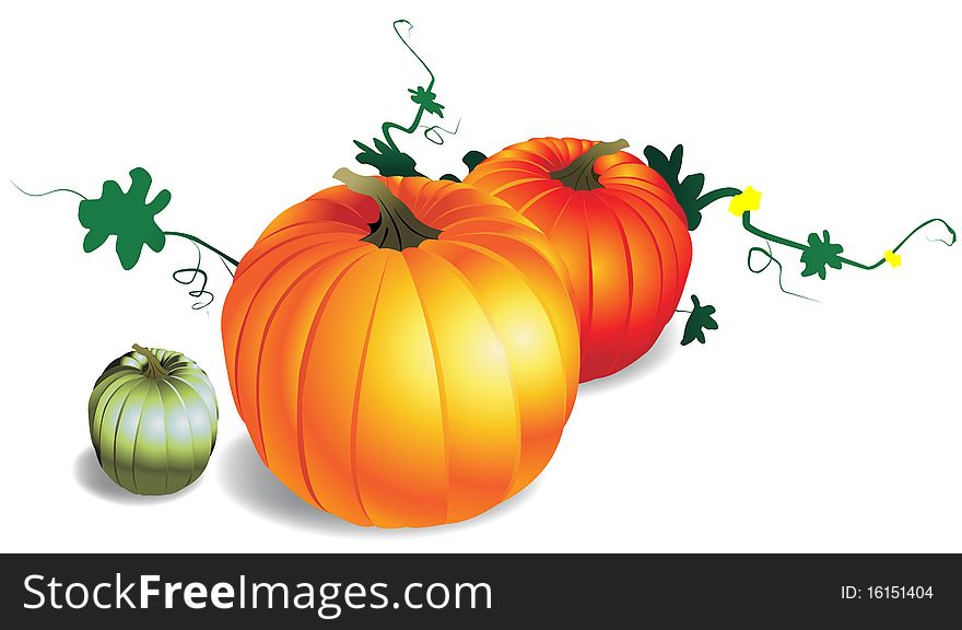 Realistic illustration of pumpkins