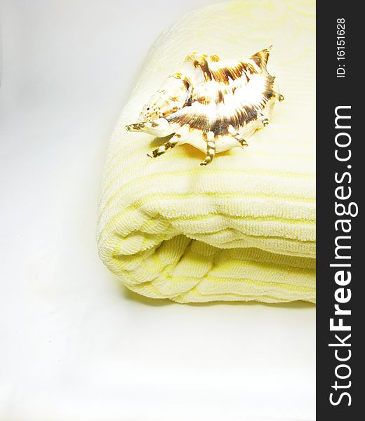 Sea shell on bathing towel isolated