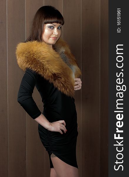 Beautiful stylish girl with fur