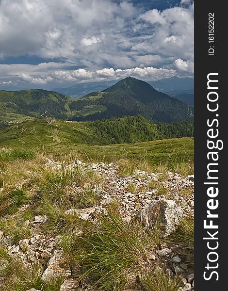 Carpatian mountains landscape in summer