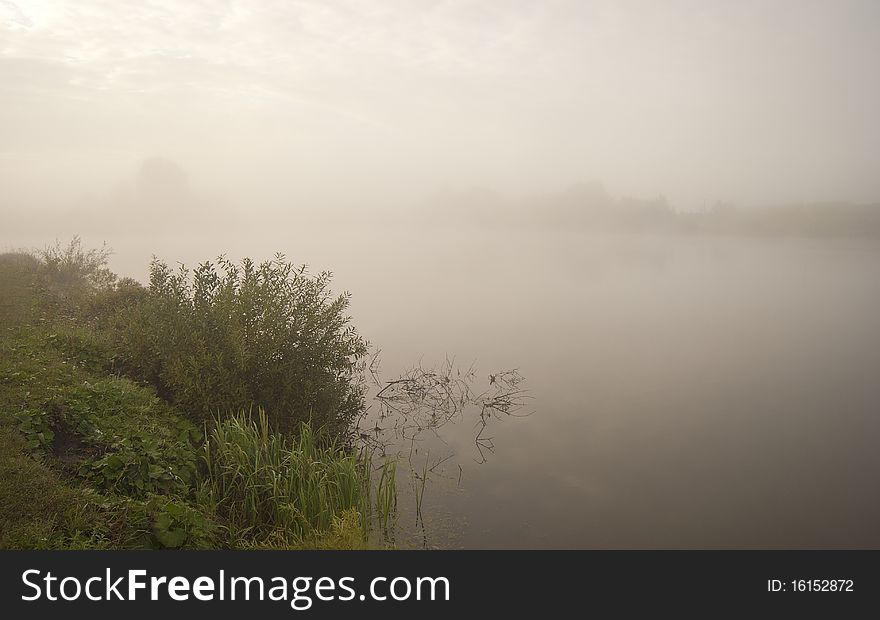 Fogy Lake Landscape