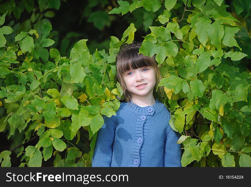 Adorable small girl with long dark hair  in blue sweater  the autumn forest. Adorable small girl with long dark hair  in blue sweater  the autumn forest