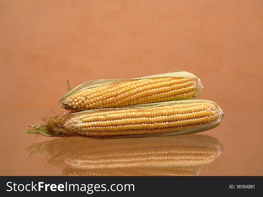 Raw corn isolated on brown background with reverberation