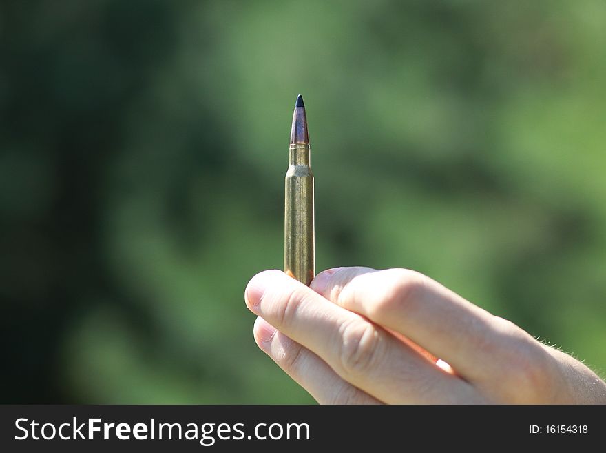 Hunting gun cartridge on a green background