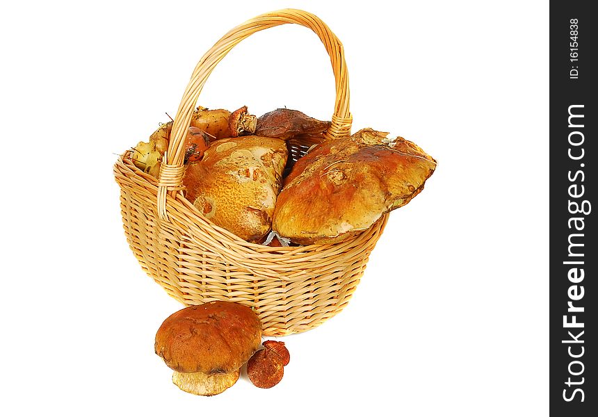 Fresh mushrooms in the basket isolated on the white background. Fresh mushrooms in the basket isolated on the white background.