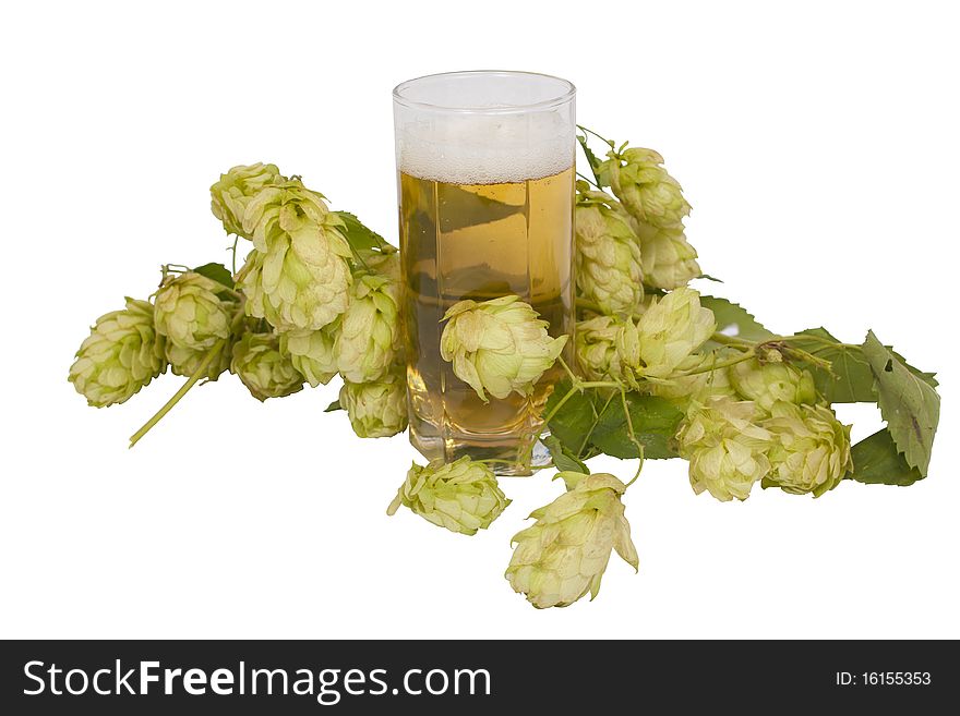 Beer in glass with hop cones isolated on white background
