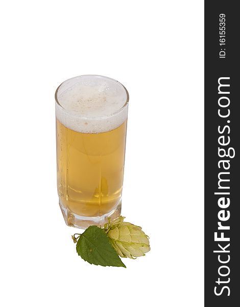Beer in glass with hop cone isolated on white background