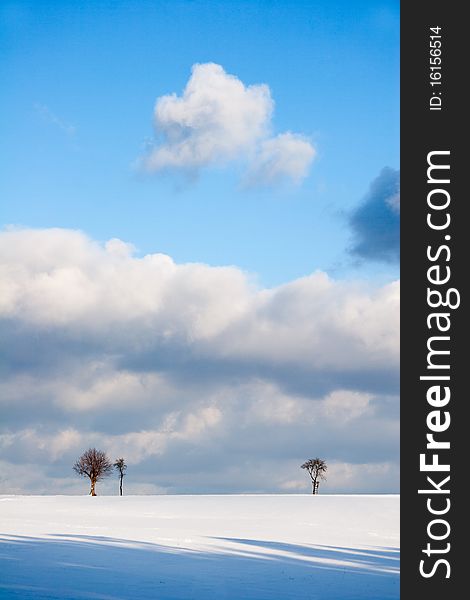 Winter landscape with trees and clouded sky