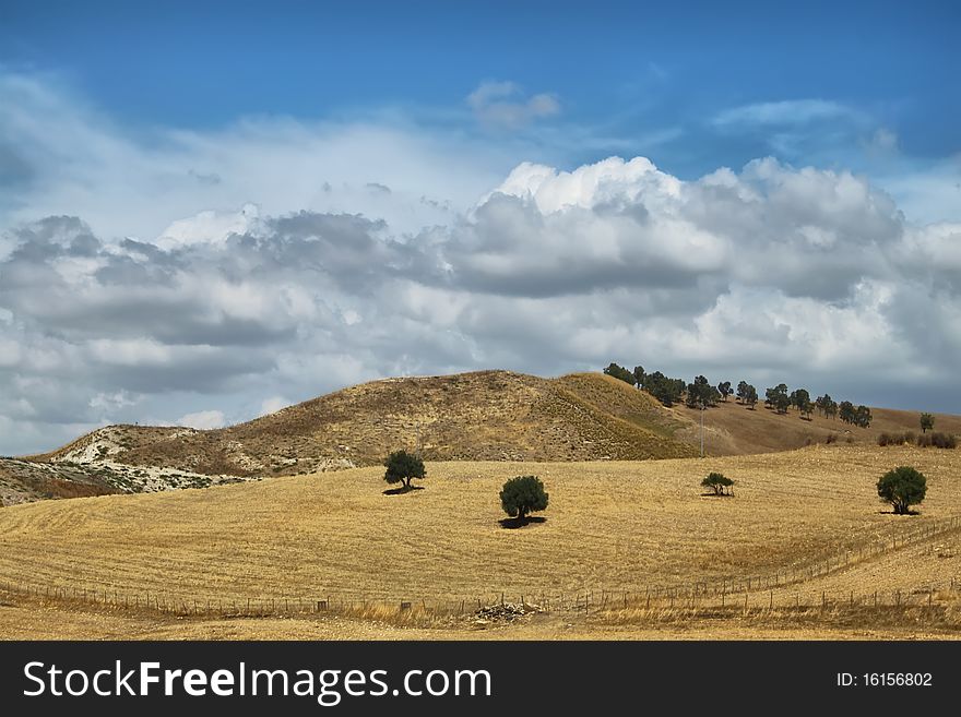Photo of rural landscape in Sicily, Italy