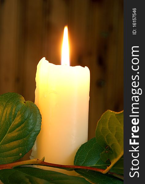 A lit white candle near a leafy branch. A lit white candle near a leafy branch.