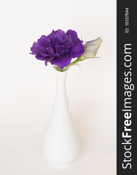 Flower and bud in a white vase on a white background.