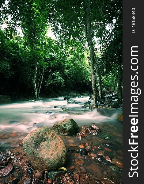 The stream in Jad Kod forest, Thailand.