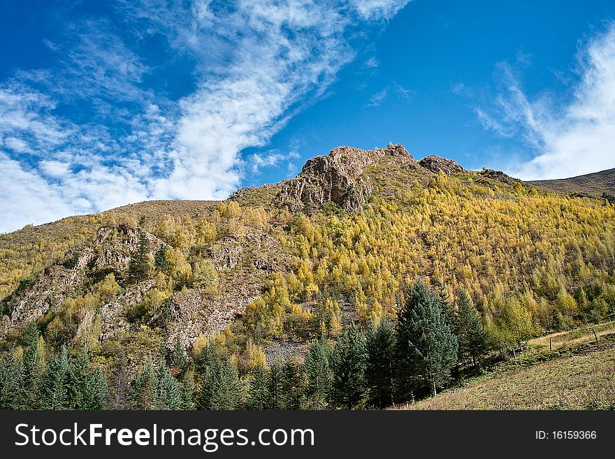 The steep peak and forest in the ganzi,sichuan,china. The steep peak and forest in the ganzi,sichuan,china.