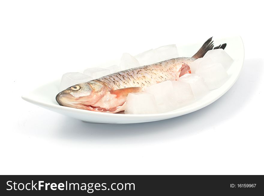Frozen fish on a white background