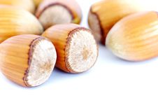 Hazel Nuts On White Royalty Free Stock Images Hazel Nuts On White Royalty Free Stock Images