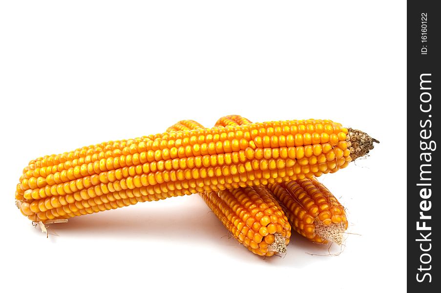 Yellow corn on a white background