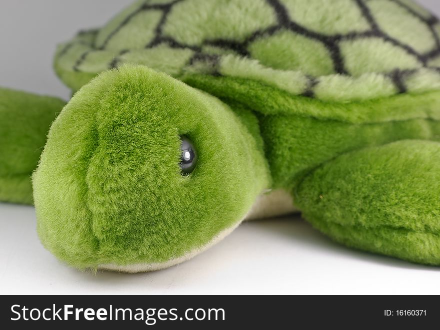 Green plush turtle toy close up