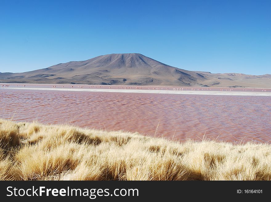 Laguna Verde (Bolivia). Red Lagoon in the Andine Eduardo Avaroa Wildlife Reserve. Laguna Verde (Bolivia). Red Lagoon in the Andine Eduardo Avaroa Wildlife Reserve