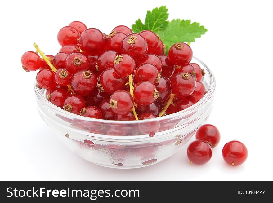 Ripe currant in close up