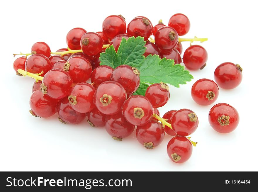 Currant on a white background