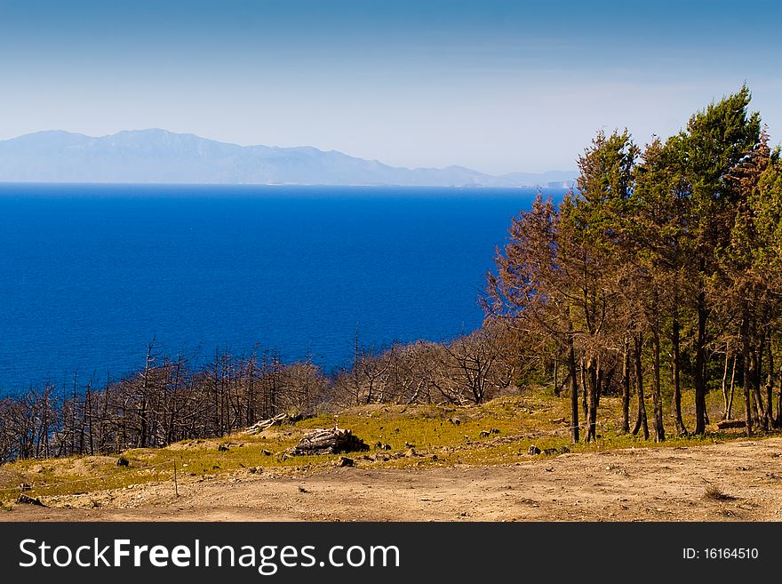 Trees on the shore, the sea and the mountains far away. Greece. Rhodes