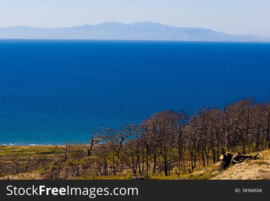 Trees on the shore, the sea and the mountains far away. Greece. Rhodes