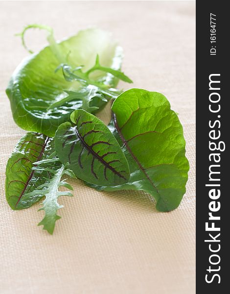 Nutritious mixed  green salad leaves and herbs on pink linen tablecloth. Nutritious mixed  green salad leaves and herbs on pink linen tablecloth