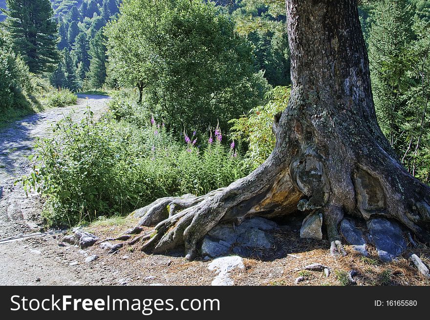 Views of the Vanoise National Park, from the village of Meribel