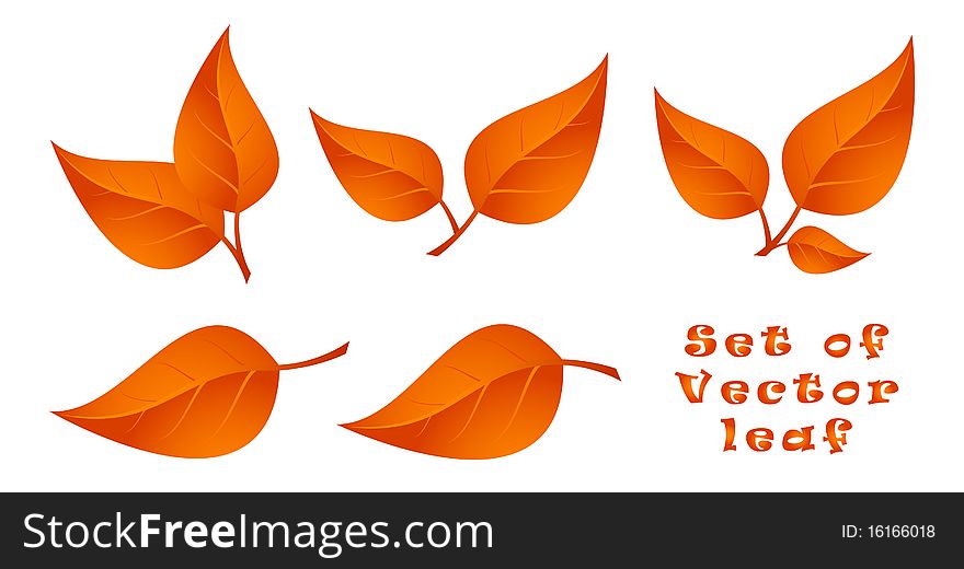 Isolated Vector illustration For Design. Isolated Vector illustration For Design