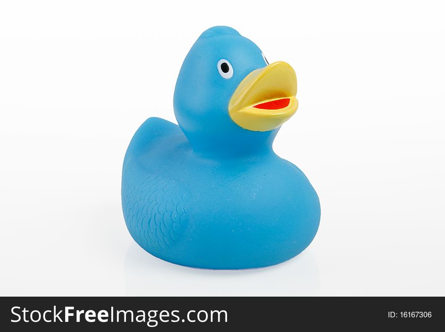 Rubber blue duck