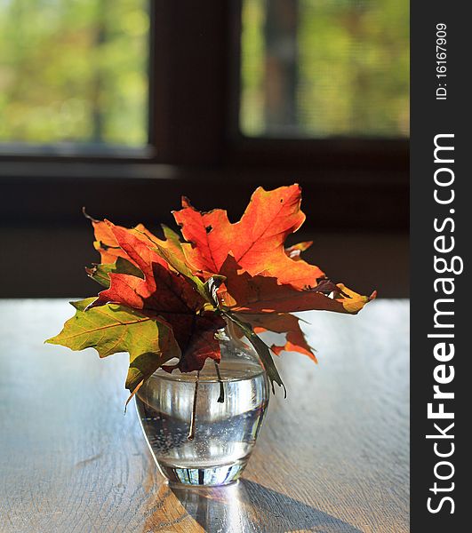 Autumn maple leaves in a small vase sitting on an oak table. Autumn maple leaves in a small vase sitting on an oak table.