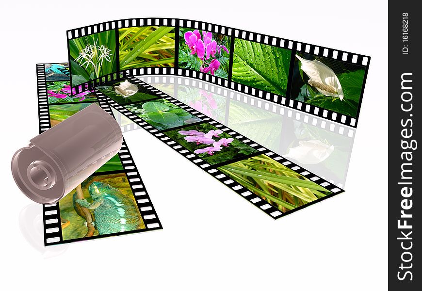 3d film roll with colour pictures (nature).