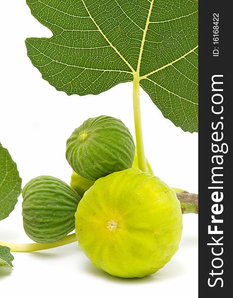 Yellow fresh figs isolated on white background. Yellow fresh figs isolated on white background