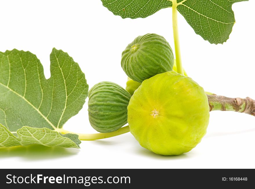 Yellow fresh figs isolated on white background. Yellow fresh figs isolated on white background