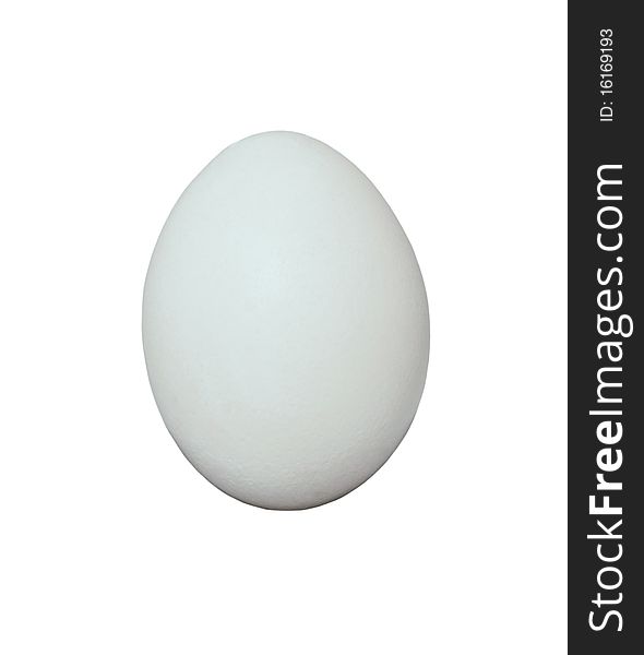 Isolated white chicken egg on white background