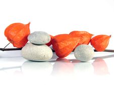Orange Royalty Free Stock Photography