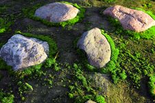 Moss And Stones Royalty Free Stock Photos Moss And Stones Royalty Free Stock Photos