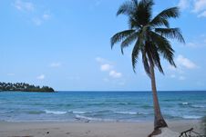 Sea And Coconut Palm , Thailand Stock Photo Sea And Coconut Palm , Thailand Stock Photo