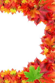 Half Frame From Autumn Maple Foliage Royalty Free Stock Photos Half Frame From Autumn Maple Foliage Royalty Free Stock Photos