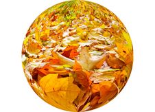Fall Symphony In The Forest. Royalty Free Stock Image Fall Symphony In The Forest. Royalty Free Stock Image
