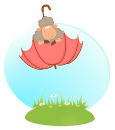 Sheep Sheep Flies On An Umbrella Stock Photo Sheep Sheep Flies On An Umbrella Stock Photo