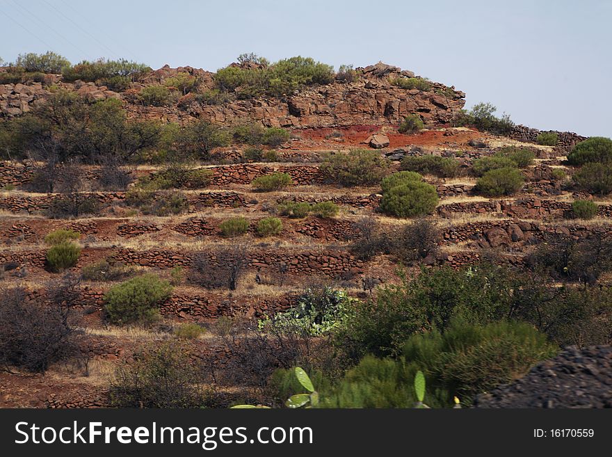 Hill with plants on volcanic Island Tenerife. Hill with plants on volcanic Island Tenerife