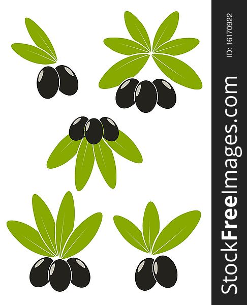 Set of black olives with leaves emblems