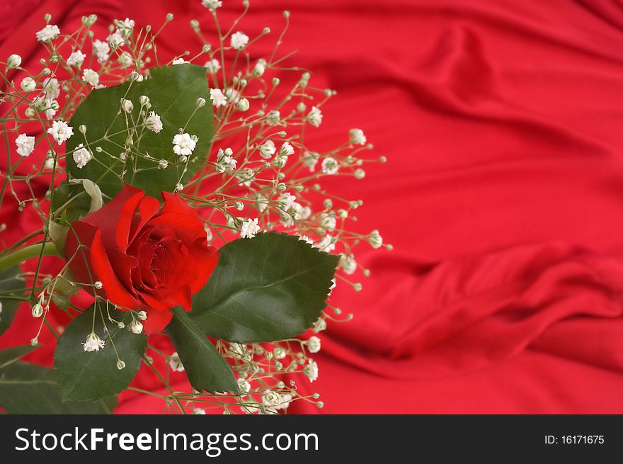 Baby's breath and rose on red satin